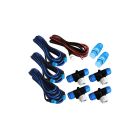 Raymarine STNG Backbone Kit 