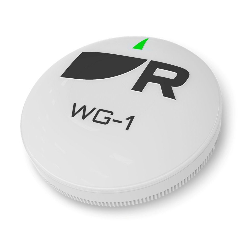 Raymarine RCU-1 Autopilot Remote & WG-1 Wireless Gateway Kit