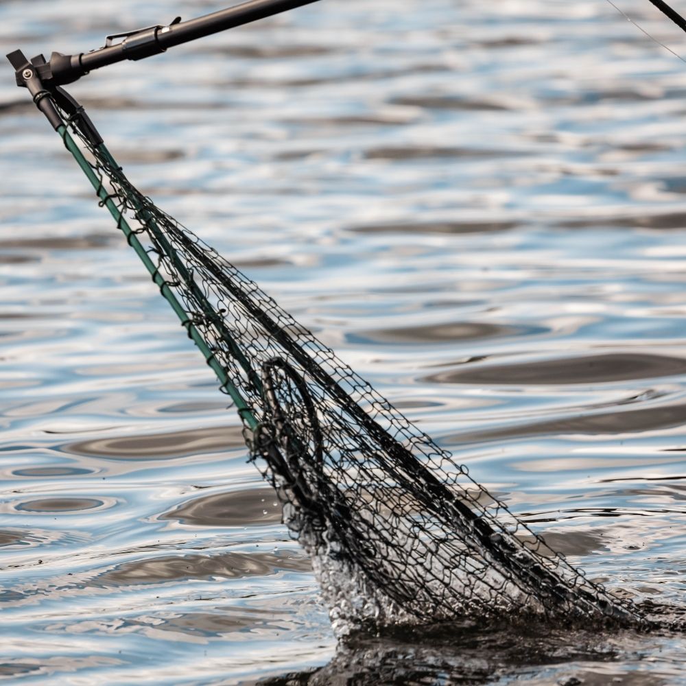 Snowbee Telescopic Folding Landing Net - XXXL